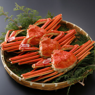 【ふるさと納税】【先行予約】鳥取県産 タグ付き 茹 松葉がに 500g×3杯(中村商店)2026年1月末より順次発送【配送不可地域：離島・北海道・沖縄県・東北・信越、北陸】【1692931】