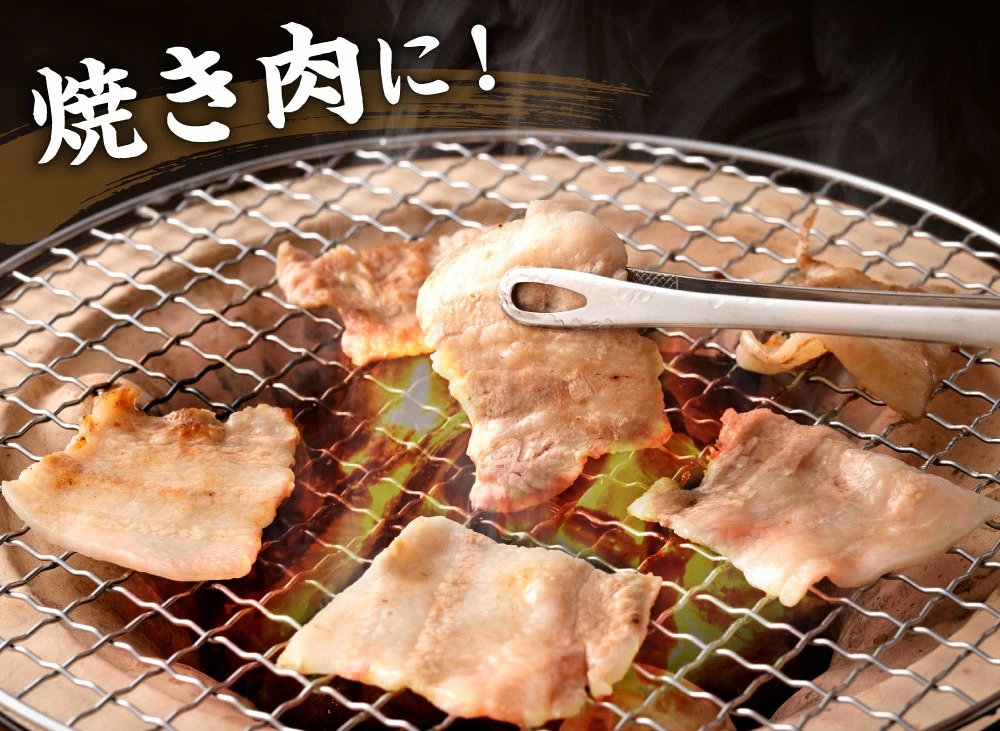 夢やまびこ豚 焼肉セット 1kg 5種類 (ロース・肩ロース・バラ・ヒレ・小間切れ) 肉 お肉 豚肉_イメージ4