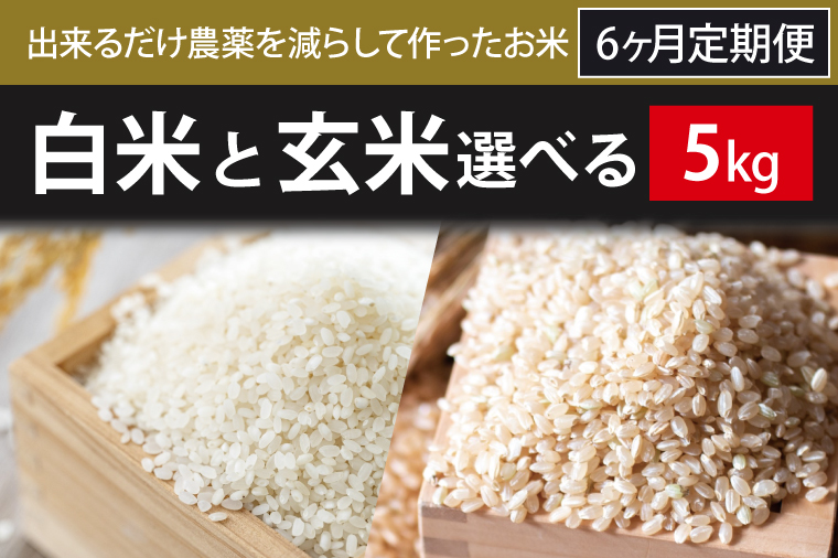 BI-78 6ヶ月定期便【できるだけ農薬を減らして作ったお米】白米または玄米　5kg×6回