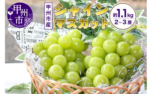 山梨の自然が産んだスイートエメラルド甲州市産シャインマスカット！約1.1kg 2～3房【2025年発送】（UD）B-867 【シャインマスカット 葡萄 ぶどう ブドウ 令和7年発送 期間限定 山梨県産 甲州市 フルーツ 果物】