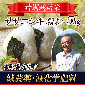 特別栽培米 ササニシキ5kg 山形県遊佐産 鳥海山の恵（令和5年産米）