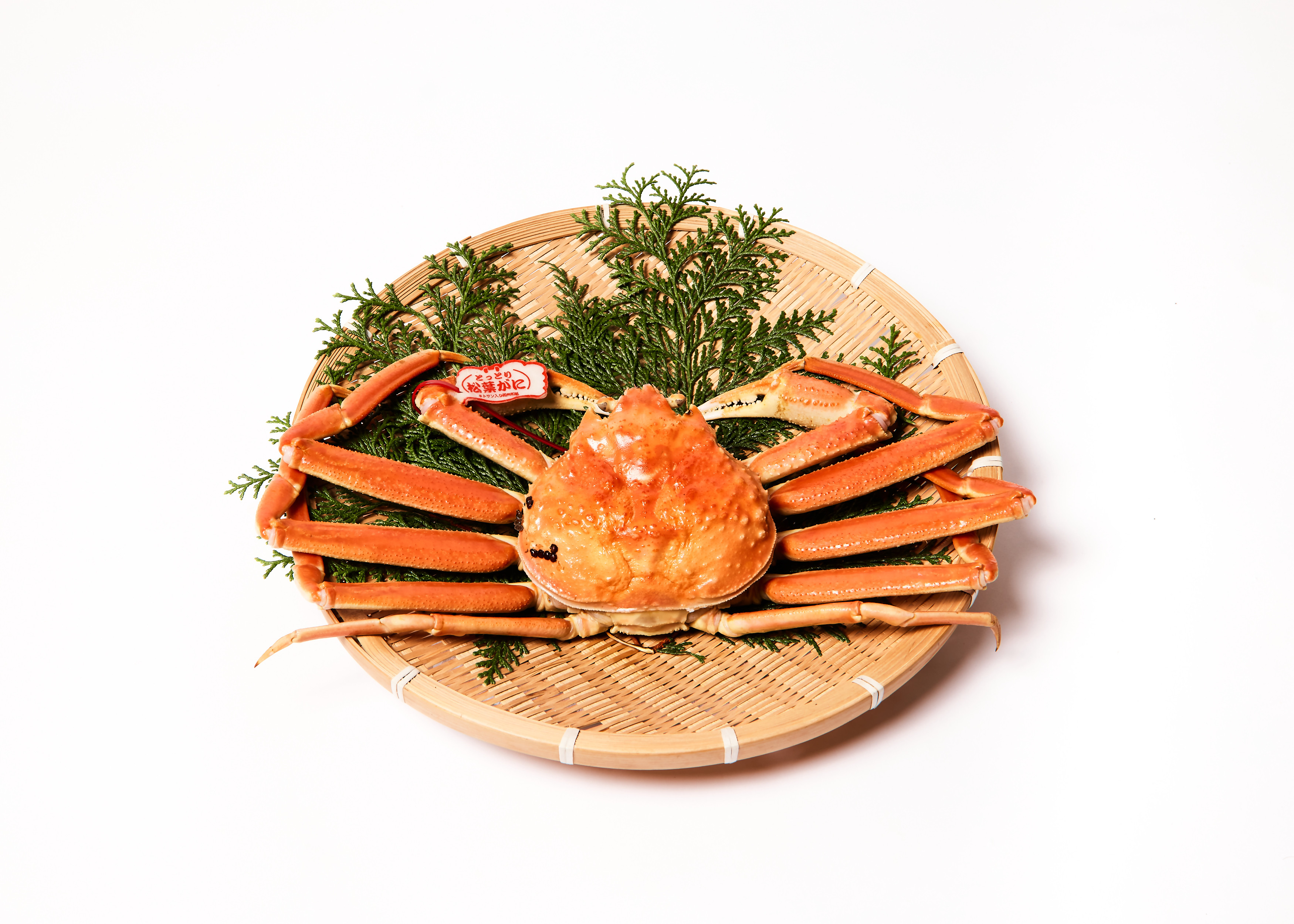 
            【タグ付き】活〆ボイル松葉蟹（大）800ｇ～×1杯
          