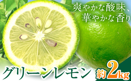 グリーンレモン 約2kg ときわオンライン【先行予約】《2025年10月上旬-2月末頃出荷》 柑橘 和歌山県 紀の川市 フルーツ 果物 レモン グリーンレモン 檸檬 送料無料