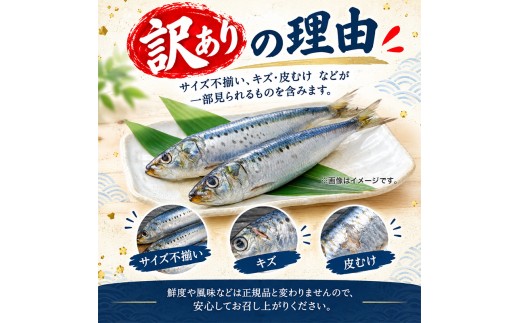 【訳あり】 無塩 いわし 約4kg 冷凍 国産 イワシ 鰯 内蔵処理 頭なし 料理 簡単調理 手軽 和風 和食 おかず 惣菜 弁当 魚 海鮮 魚介 訳あり 南伊勢町産 三重県 伊勢 志摩