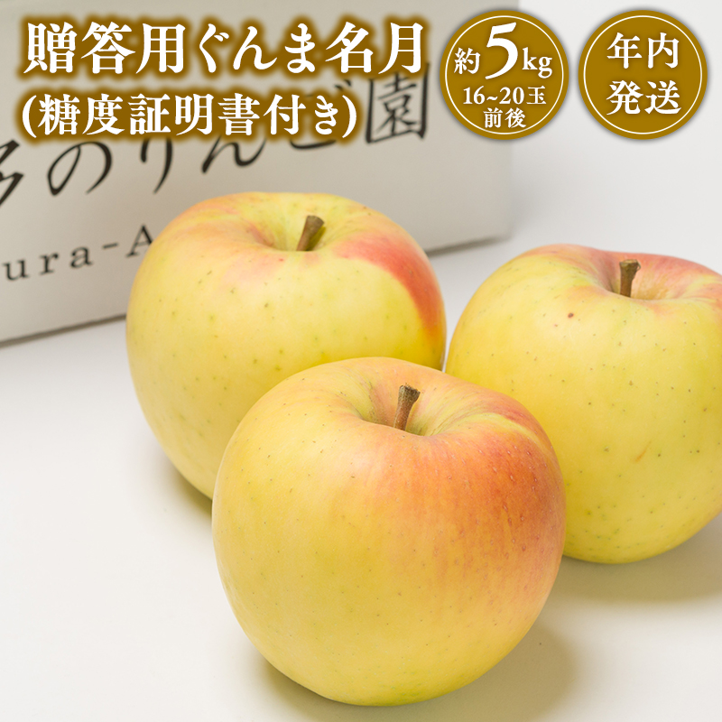 【11~12月発送】  贈答用ぐんま名月約5kg（糖度証明書付き） 【青森県 平川市 那由多のりんご園】
