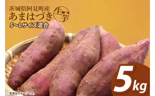 【2026年1月中旬より順次発送】さつまいも あまはづき5kg【甘藷 甘い さつま芋 サツマイモ 薩摩芋 茨城県産 茨城県 阿見町】(90-02)