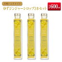 【ふるさと納税】◆宮崎ハンドメイド　ゆずジンジャーシロップ×3本(合計600ml)