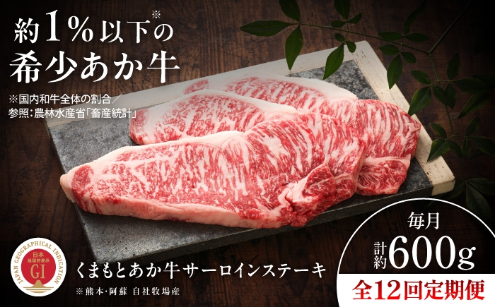 
                  【全12回定期便】【GI認証】くまもとあか牛サーロインステーキ 約200g×3枚 /   あかうし サーロイン さーろいん ステーキ すてーき  サーロインステーキ  さーろいんすてーき ギフト プレセント 贈答  菊陽 菊陽町 あか牛 熊本県 肉 にくBBQ バーベキュー  人気 おすすめ  やきにく 焼き肉 焼肉 グルメ 贈り物 贅沢 定期便 【有限会社 三協畜産】[BHAS068]
                