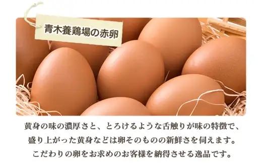 国産　赤卵　60個入｜卵 新鮮 阿久比町