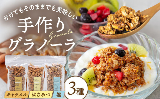ケーキ屋さんの グラノーラ 3種食べ比べ（キャラメル・はちみつ・塩）200g×3袋 ▼小分け ジッパー付き 密封 常温 手作り おすすめ ヘルシー オートミール おつまみ おやつ アサイーボウル 桂川町/order made cake Toi Toi[ADAW001]
