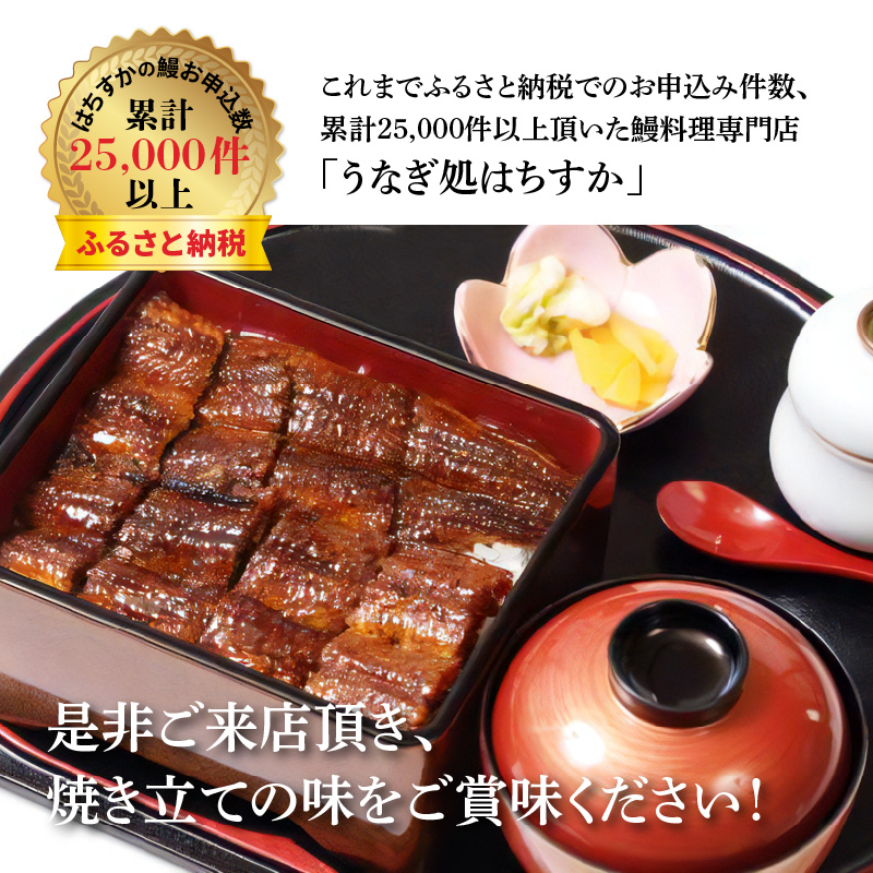 【12月24日受付分まで年内発送】鰻料理専門店「うなぎ処はちすか」お食事券 2枚 8000円分 国産 日本料理 うなぎ 蒲焼 白焼き 肝 出汁 うな丼 うな重 上うな重 ひつまぶし 食事 券 チケット うなぎ屋　H026-034