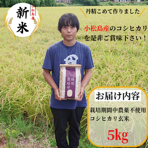 【2026年9月順次発送】 栽培期間中農薬不使用 コシヒカリ玄米 5kg 玄米 米 化学肥料不使用 新米 こめ 健康 ご飯 ダイエット 栄養豊富 ビタミン ミネラル 小松島市