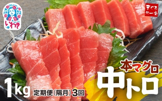 【定期便/隔月/計3回】本マグロ中トロ1kg（計3kg）|解凍レシピ付 1サクずつ真空包装  脂の甘みと濃厚赤身が絶妙なバランス