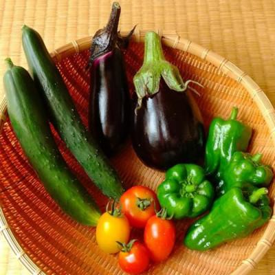ふるさと納税 飯田市 旬の野菜セット詰め合わせ　Sサイズ 1〜2人分 |  | 01