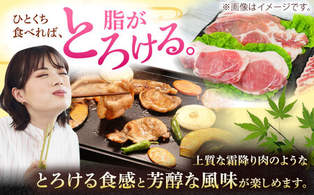 豚肉 焼肉 沖縄県産豚肉 くいまーる豚 焼肉セット (ロース・バラ) 計1.2kg (200g×各3P)  BCAJ001 