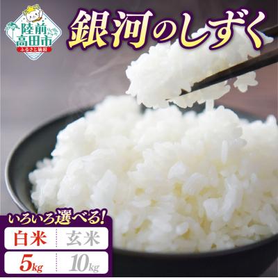 ふるさと納税 陸前高田市 先行受付 令和8年産 新米 銀河のしずく 5kg 白米 米 お米 精米 お弁当 ブランド米 限定