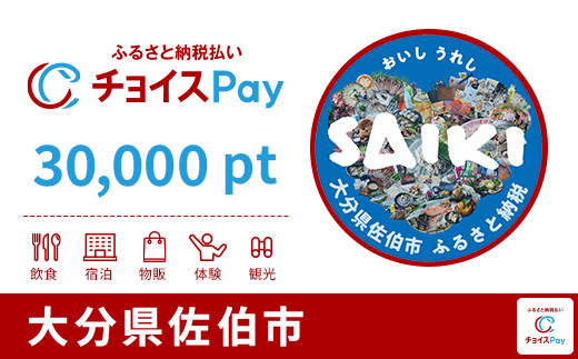 
            佐伯市チョイスPay 30,000pt【会員限定のお礼の品】
          