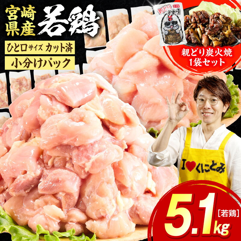 【ふるさと納税】宮崎県産若鶏切身 5.1kg 鶏肉 親どり炭火焼セット お肉 肉 とり肉 もも肉 むね肉 国産 おかず 小分け カット済み パック ストック 便利 普段使い