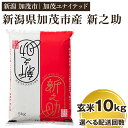 【ふるさと納税】【令和6年産新米先行予約】 新潟県産 新之助 玄米10kg（5kg×2） 選べる配送回数 （通常配送1回～定期便12回） 新潟 ブランド米 加茂市 加茂ユナイテッド