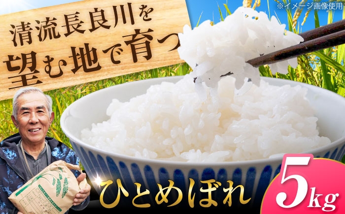 
                  慣行米 ひとめぼれ 5kg お米 白米 精米 岐阜市 / 羽賀政夫 [ANDZ003]
                