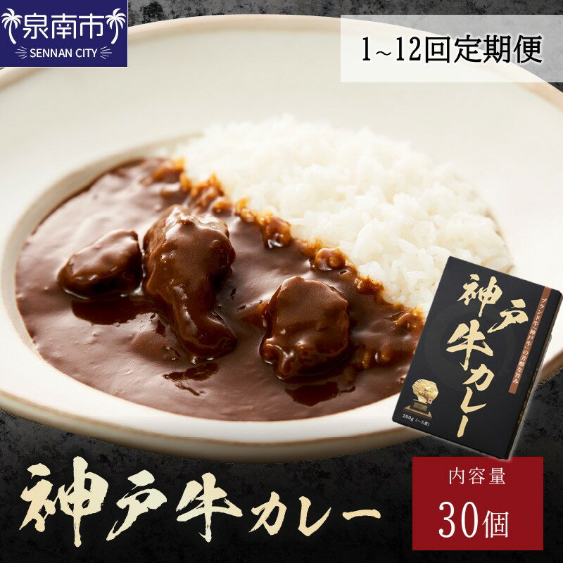 【ふるさと納税】選べる お届け回数！ 神戸牛カレー200g×30個セット 1回 3ヶ月定期便 6ヶ月定期便 12ヶ月定期便