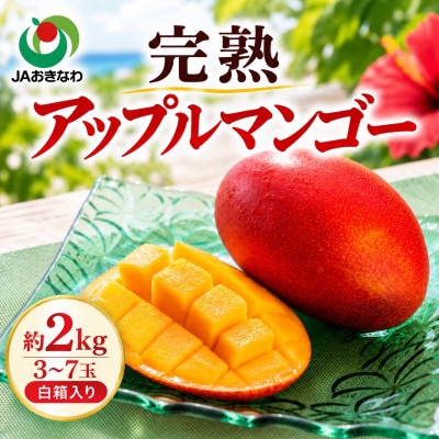 【2027年6月下旬から順次発送・家庭用】JAおきなわ厳選 完熟アップルマンゴー2kg(3～7玉)【配送不可地域：離島】