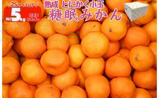 
            熟成 みかん とにかく 小玉 箱込5kg ( 内容量 4.4kg ) 2Sサイズ以下 秀品 優品 混合 有田みかん 和歌山産 産地直送 家庭用 【みかんの会】
          