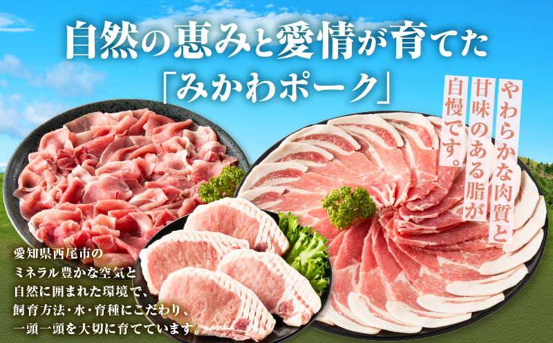 西尾市産みかわポークの焼豚 2本・T166