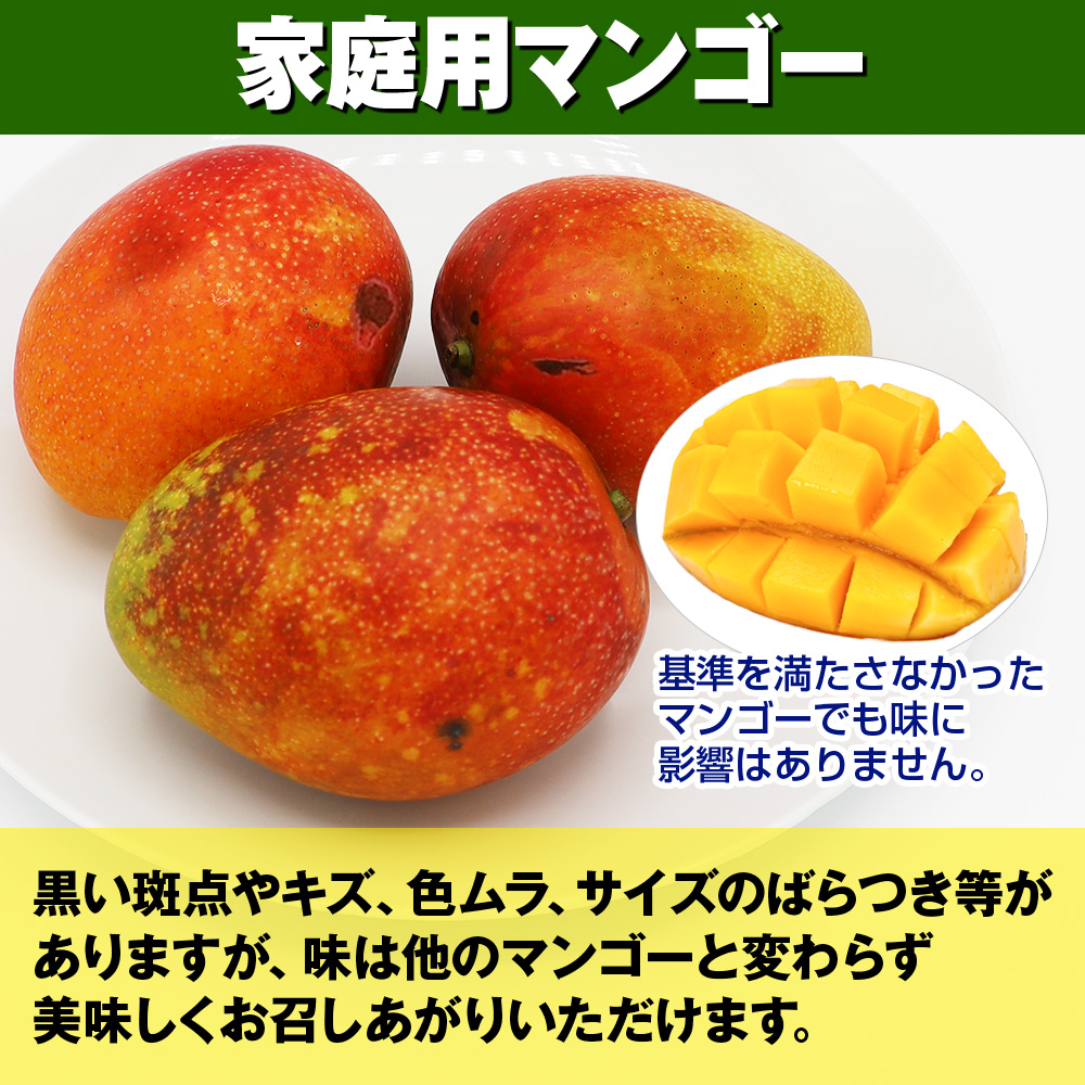 【2025年発送】芳醇な香り　とろける食感　家庭用マンゴー1.5kg