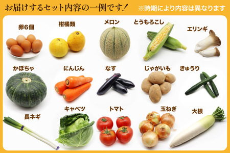 BF057 野菜 フルーツ 定期便3回 おまかせセット 野菜 フルーツ12～14品目 卵6玉