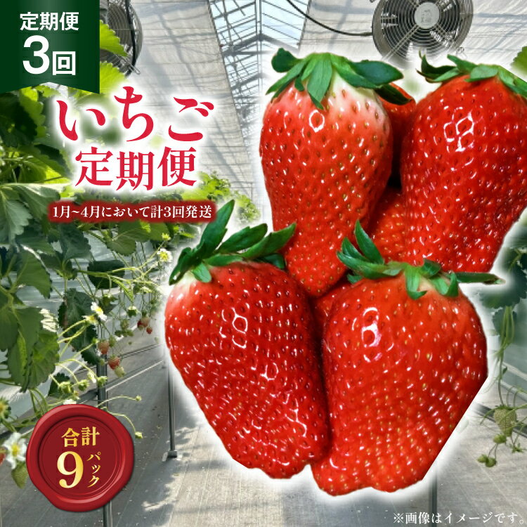 【ふるさと納税】【期間限定発送】 いちご 定期便 あまおう デラックス 3p 3回 総計9p [THE FARM_strawberry 福岡県 宇美町 um40azo780004] イチゴ 苺 フルーツ 果実 甘い 小分け