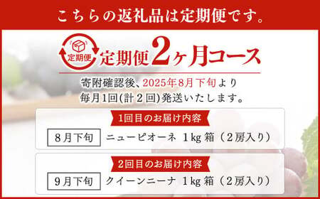 【定期便2回】 ［種なし］ 岡山県産 ニューピオーネ ・ クイーンニーナ 1kg箱（2房入り） 【2025年8月下旬発送開始】 ／ ぶどう ブドウ 葡萄 大粒 種なし 種無し フルーツ 果物 くだもの