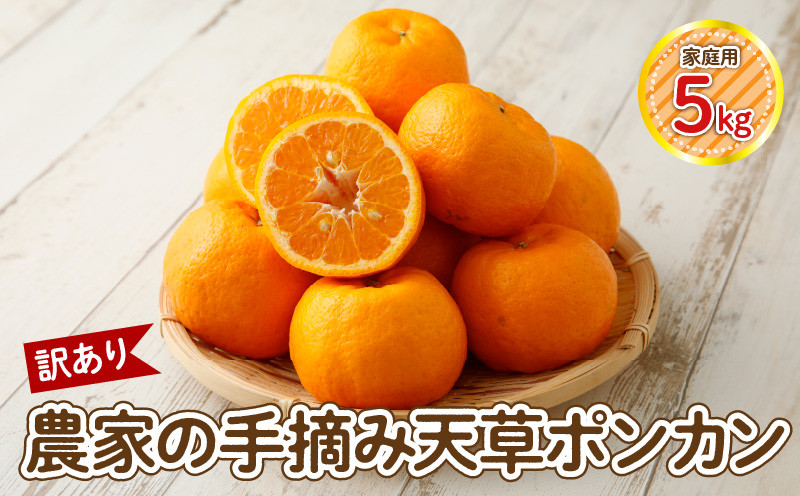 
                  S040-028_【訳あり】農家の手摘み　天草ポンカン　家庭用　5kg
                