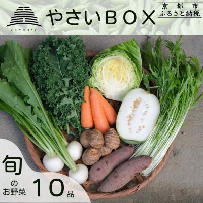 ふるさと納税 京都市 【よしだのはたけ】旬の野菜10品 やさいBOX|京都 京北 農家直送 野菜 人気セット
