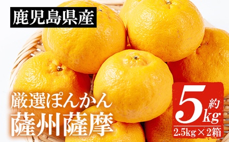＜先行予約＞＼数量・期間限定／本格貯蔵 ぽんかん 薩州薩摩 約5kg  糖度12度以上 クエン酸0.9%以下 カラーチャート9以上 の厳しい基準をクリアしたブランド品！ 果樹【A-2021H】