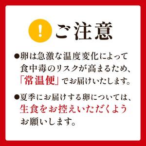 【6回定期便】ビタミンＥ豊富な「碧空たまご」50個入り Lサイズ タマゴ 卵 玉子 たまご F23R-935