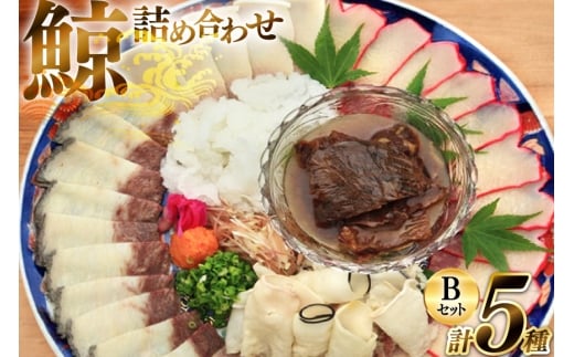 AJ155 美味しい 鯨 5種詰め合わせBセット 計520g( 大和煮 オバ ベーコンスライス 湯かけくじら さえずりスライス )[ くじら クジラ 鯨肉 湯引き 簡単調理 おつまみ 肴 珍味 日野商店 長崎県 島原市 ]        