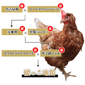 熊ヤン生ソーセージ