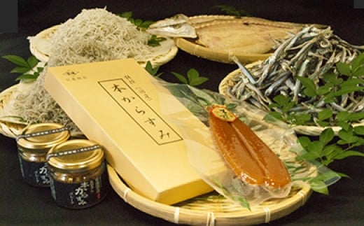 本からすみ と 各種 干物 セット  ［ 高級珍味 ］ ちりめん ご飯のお供 冷蔵 配送 国産 旬 カラスミ かちりちりめん フレーク 唐墨 塩干し 丸干し 宮進商店謹製 須崎市 高知県 MS008