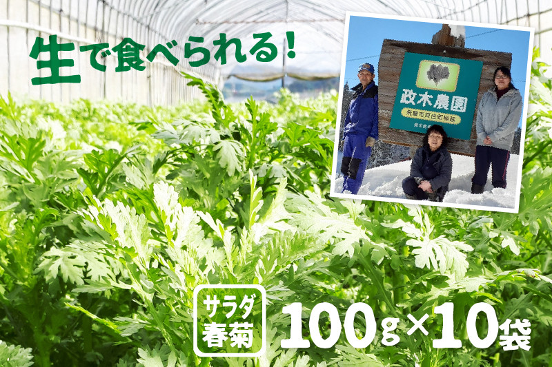 
            令和7年産先行予約【6月上旬～10月下旬発送】サラダ春菊 100g × 10袋 政木農園 無農薬栽培 野菜 syun88
          