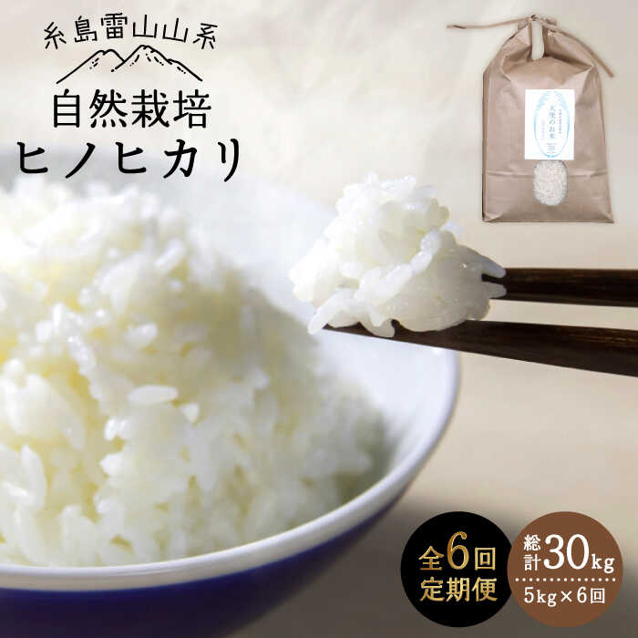 【ふるさと納税】【令和7年産新米予約】【全6回定期便】自然栽培ヒノヒカリ5kg《糸島》【大石ファーム】【2025年11月中旬以降初回発送】 [ATE018] 常温