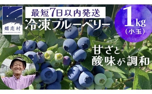【 最短 7日以内 発送 】 冷凍 ブルーベリー 小玉 1kg 数量限定 小粒 国産 フルーツ スムージー 果物 くだもの 農家直送 スイーツ アイス ノーザンハイブッシュ系 ミックス [AT015tu]
