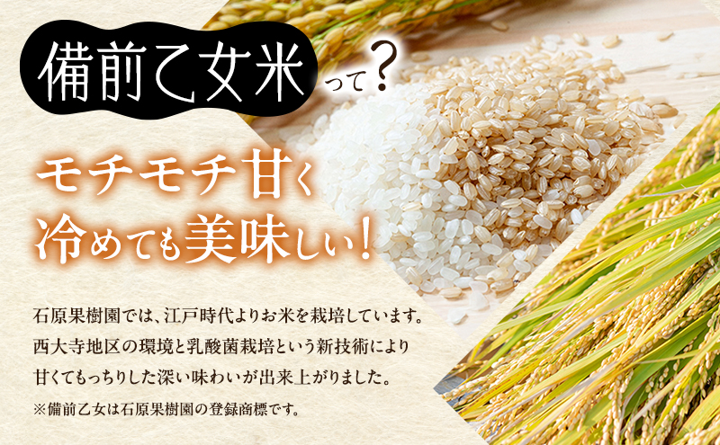 米 令和7年産 石原果樹園の備前乙女米 玄米 30kg×1袋 ※11月上旬～順次発送予定 お米 ライス  乳酸菌栽培 岡山県 おにぎり お弁当