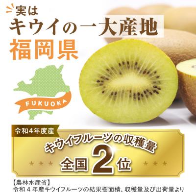 ふるさと納税 宗像市 【ギフト】キウイフルーツ「博多甘うぃ」約1.4kg化粧箱入り【ほたるの里】_HA0943 |  | 02