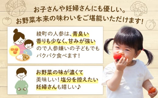 日時指定可能！本日のお野菜セット（サイズ大）【全12回定期便】