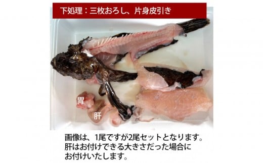【片身三枚おろし（唐揚げ用）、片身三枚おろし皮引き（刺身用）】【先行予約】活き締めオコゼ2尾セット（2人前）ポン酢付き 虎魚 おこぜ 薄造り 唐揚げ