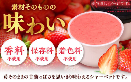 【先行予約】苺そのままの甘酸っぱさ！THE ICHIGO  プレミアム苺シャーベット 計8個 / いちご イチゴ アイス デザート / 佐賀県 / さかもとさんの畑［41ABAA019］ストロベリー 