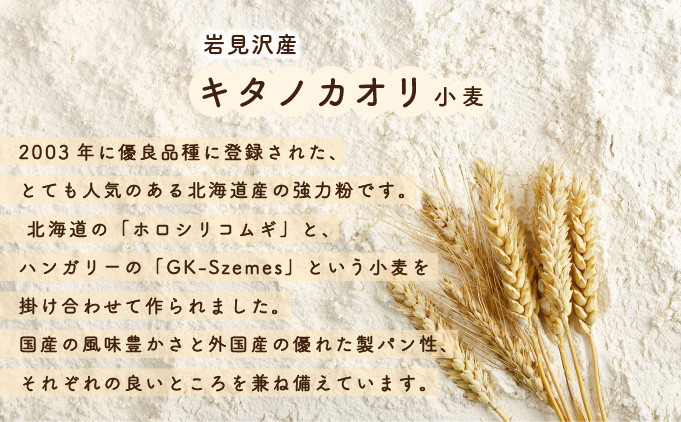 【定期便】当店大人気！！石窯焼きのおまかせパン詰め合わせ18個セットを12カ月間毎月お届け！【19044】