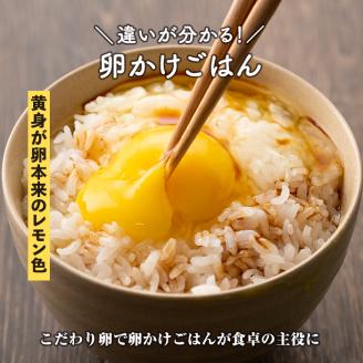 A0-07 いちき農園のこだわり卵(計30個・10個入り×3パック) 自然豊かな伊佐で育てた平飼い鶏の低コレステロール卵！無添加、抗生物質不使用！【いちき農園】