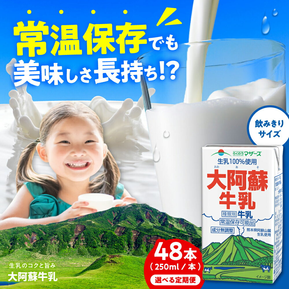 【ふるさと納税】《 選べるお届け回数！》大阿蘇牛乳 ロングライフ 250ml 48本（12本入り×4ケース） 12L【合同会社 福福堂】[AYAC048] ミルク みるく milk 生乳 らくのう マザーズ 酪農 牛 乳 コク 送料無料 人気 ランキング レビュー 口コミ 評価 合志